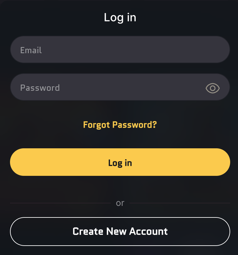 Login Form
